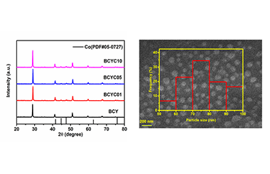 Conversion of Methane to Ethylene with BaCe0.9Y0.1CoxO3-δ Hydrogen Permeation Membrane 2011-3055